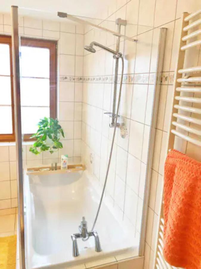 Charming Apartment Basel Border - 3 Bedrooms Hegenheim Exterior photo
